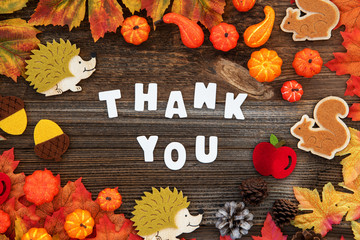 Colorful Autumn Decoration, Text Thank You, Wooden Background