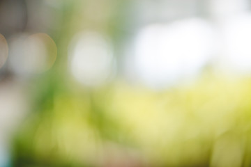 Obraz premium Abstract background with green bokeh.