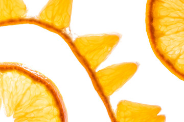 Macro photo of slices of juicy orange with back light isolated on white background. Top view
