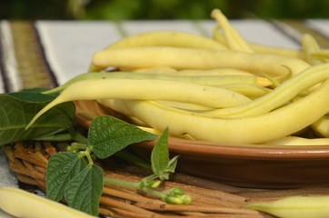 Yellow string beans (green beans) on a brown plate and on a embroidered tablecloth. nutrition. food. eco-products in farm. Organic. Vegetarian. Health life