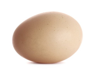 Egg isolated on white background
