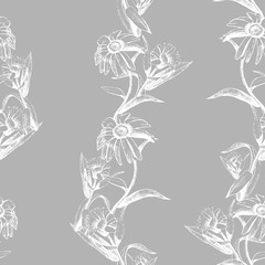 Vector seamless pattern of flowers drawn with ink and pen.