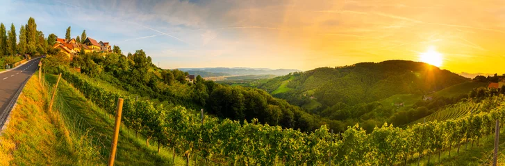 Fotobehang Landscape panorama of vineyard on an Austrian countryside with a church in the background in Kitzeck im Sausal © Przemyslaw Iciak