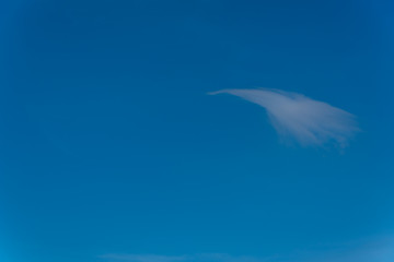 Single Swoosh Cloud in a Clear Blue Sky Perfect for Background