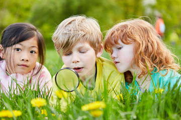 Children look at flowers through a magnifying glass