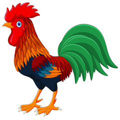Cute vector cartoon Rooster isolated on white background