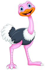 Vector illustration of Cartoon ostrich isolated on white background