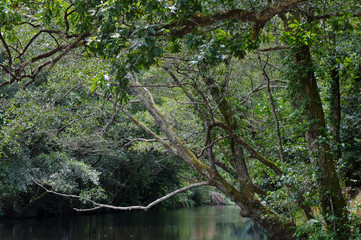 Pego Escuro in Gois. Portugal