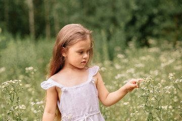  little girl in a white dress on a summer meadow