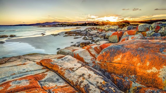 White sandy beach and orange lichen in The Gardens, Bay of Fires consevation Area ranging from Binalong Bay to Eddystone Point, east coast of Tasmania in Australia