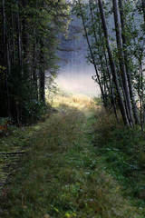 September evening on ancient road that were used from 1500s to 1930s in Lietsa, Finland. Mist rising.
