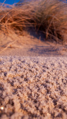 frosty sand on beach in the swedish autumn, closeup