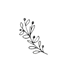 Hand drawn ink botanical illustration  of wild branch isolated on white background. Design for invitation, wedding or greeting cards