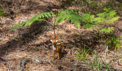Little Toy Deer in a Green Forest on a Sunny Day