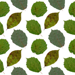 Isolated green leaves of different trees seamless collage pattern on a white