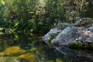 Obraz premium Peaceful river waters in the forests of Carvalhais. Sao Pedro do Sul, Portugal