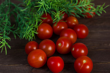 Red cherry tomatoes with a sprig of dill on a dark wooden background.