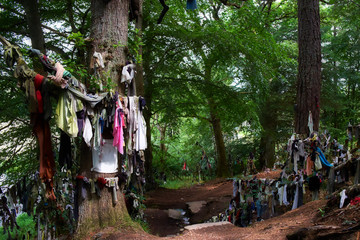 Old rags hanging at Clooty well