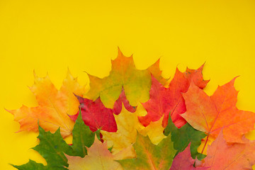 Leaves of paper fall red, orange, yellow leaf fall.