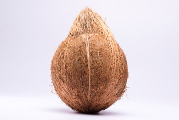 Closeup of a coconut on a isolated white background