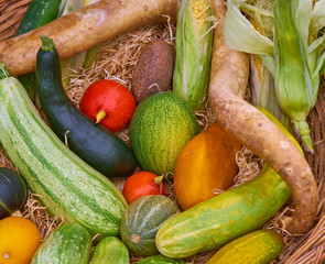 Pumpkin, colourful zucchini, corn and cucumber in a basket lined with straw