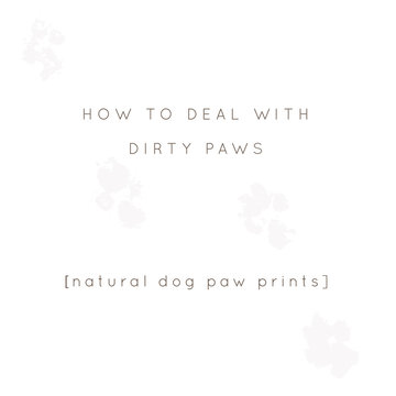 Vector minimal background for a pet related topic with paw prints. Vector hand drawn objects with a text.