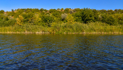 lake in the forest