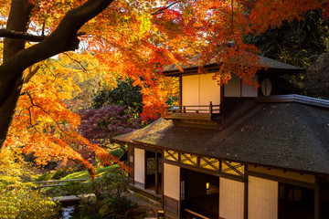 三渓園　聴秋閣の紅葉