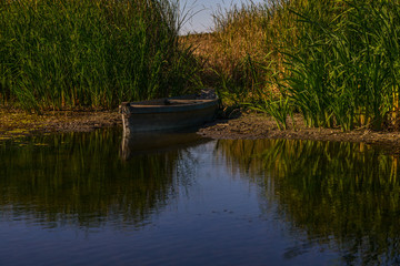 Fototapeta na wymiar Old wooden boat in river overgrowth