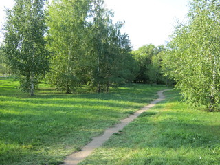 Park path