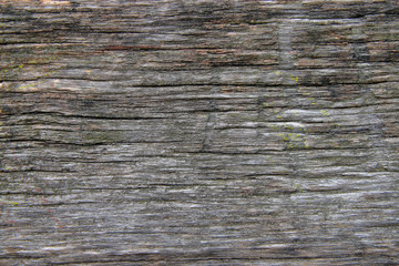 Structure of an old wooden board.