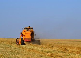 Fototapeta premium combine harvester