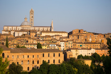 Obraz premium Panoramic view of Siena, Tuscany, Italy.