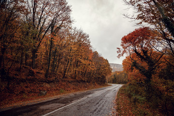 Obraz premium Beautiful colorful curved Autumn Fall road in the mountains of Crimea, Ukraine