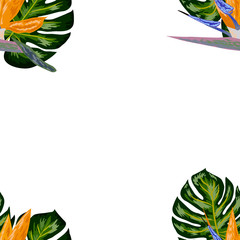 Fototapeta na wymiar Strelitzia pattern. Tropical flower, blossom cluster seamless pattern. Beautiful background with tropical flowers and palm leaves, plant and leaf.