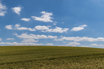 Obraz premium Windows