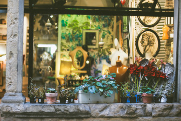 flowers and plants on the shelf with plant reflection and bust of a man