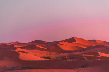 Fototapeta na wymiar Merzouga Desert - Sunset