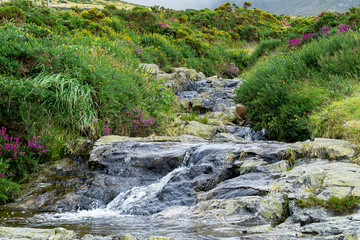 Mourne Mountains and Ring of Gullion area is world famous for its outstanding scenery and walks