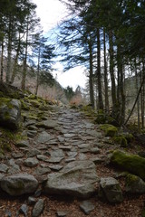 Chemin de Randonnée