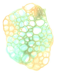 Colored soap bubbles. Watercolor background for textile, packaging, notebooks, paper, banner.