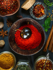 Variety colorful hot spices on dark background. - 289086838