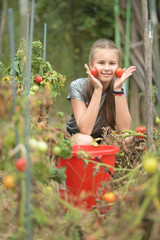Fototapeta premium girl with basket of tomatoes in garden