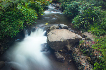 Obraz na płótnie Canvas Little river from Coban Rondo Waterfall, Batu, Indonesia