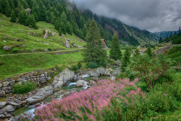 Fototapeta na wymiar Rural Living Along Swiss Oberalppass Mountain Pass
