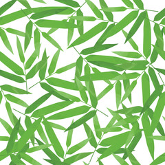 Green bamboo leaves seamless pattern on white background