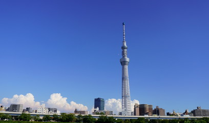Naklejka premium 東京スカイツリーのある風景