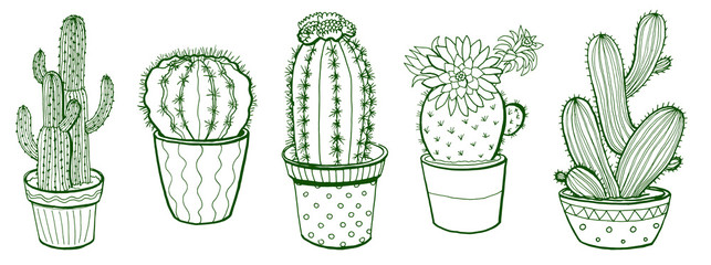 Hand drawn vector cactus © Галина Ярыгина