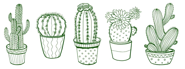 Foto op Canvas Hand drawn vector cactus © Галина Ярыгина