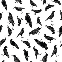 Vector Black Crows Ravens Birds on White Background Seamless Repeat Pattern